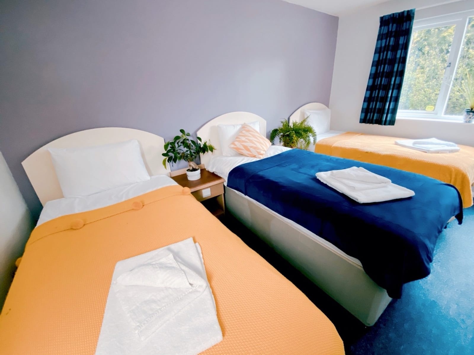 Triple Room with three single beds
